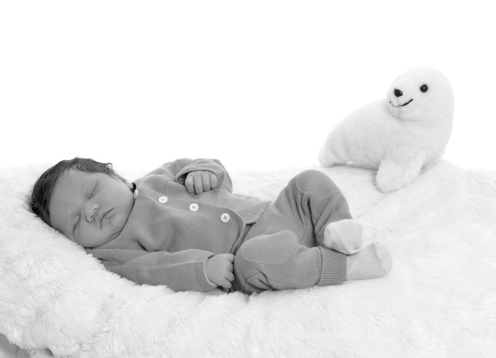 Fotos der Schwangerschaft & Newborn - Fotoatelier Ina - Mörfelden-Walldorf